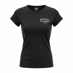 Harley Davidson NWT Montrose shirt, small